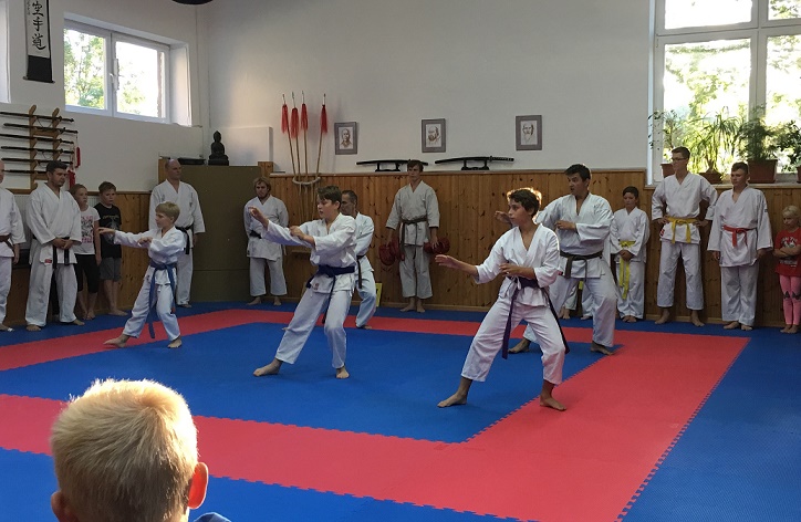 Karate trénink